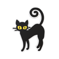 Budz | Black Cat